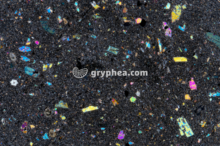 Basalte à olivine LPA x3 - gryphea.org